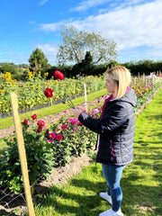 Dahlia Experience, Wednesday the 27th of September