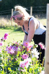 Dahlia Experience, Wednesday the 27th of September