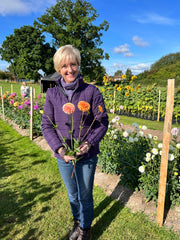 Dahlia Experience, Wednesday the 27th of September
