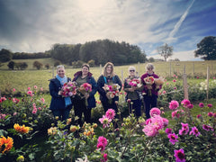 Dahlia Experience, Wednesday the 27th of September