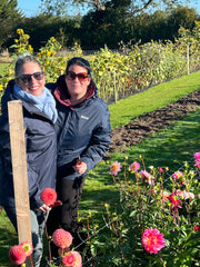 Dahlia Experience, Wednesday the 27th of September