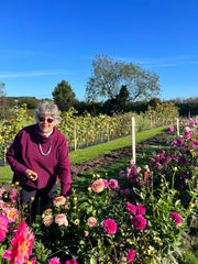 Dahlia Experience, Wednesday the 27th of September