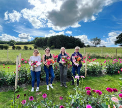 Dahlia Experience, Wednesday the 27th of September